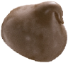 gota1