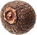 pimenta1