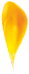 gotalaranja4