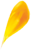 gotalaranja5